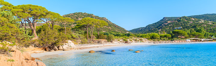 plage et foret aux alentours de La Marina d'Erba Rossa